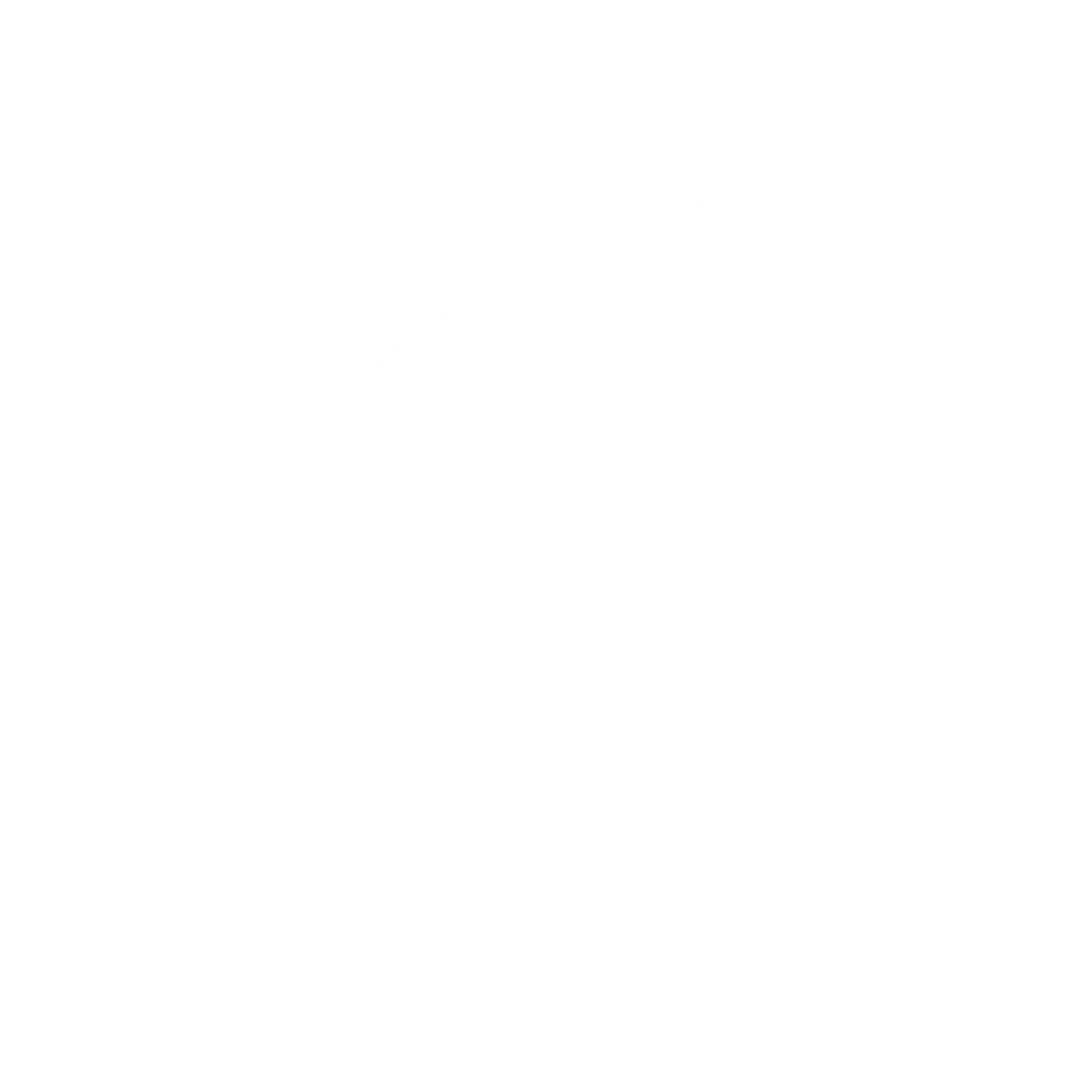 White lightbulb icon with rays emanating on black background.